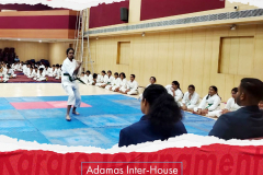 Adamas Inter-House Karate Tournament